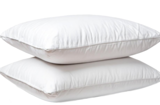 C85f0fdd71dba117-0e94b7670794-251743_npc_max_sleep20170407-76353-1btkhtq