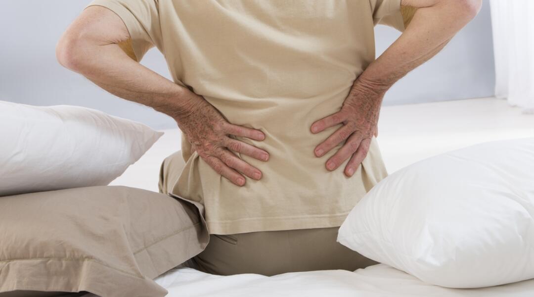 Evaluation: GP survey results for Chronic pain program