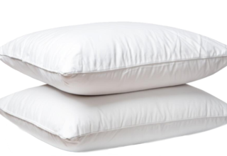 C85f0fdd71dba117-0e94b7670794-251743_npc_max_sleep20170407-76353-1btkhtq