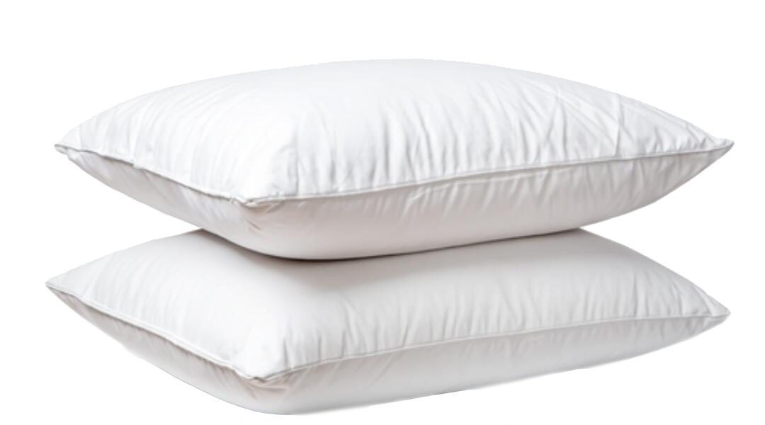 C85f0fdd71dba117-0e94b7670794-251743_npc_max_sleep20170407-76353-1btkhtq