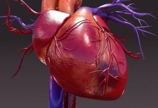 Lipid management and CVD risk