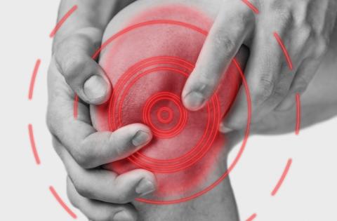 Triamcinolone, cartilage loss and knee pain in osteoarthritis