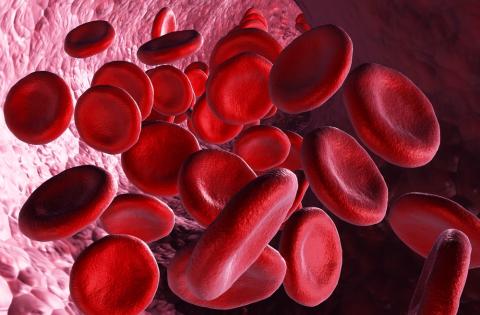 Predicting risk with oral anticoagulants