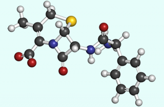 2F227D8A890170Ff 990582C139Dc Cefalexin 440