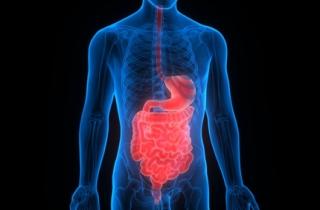 P-glycoprotein and its role in drug-drug interactions