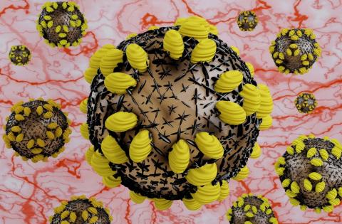 Outsmarting hepatitis C