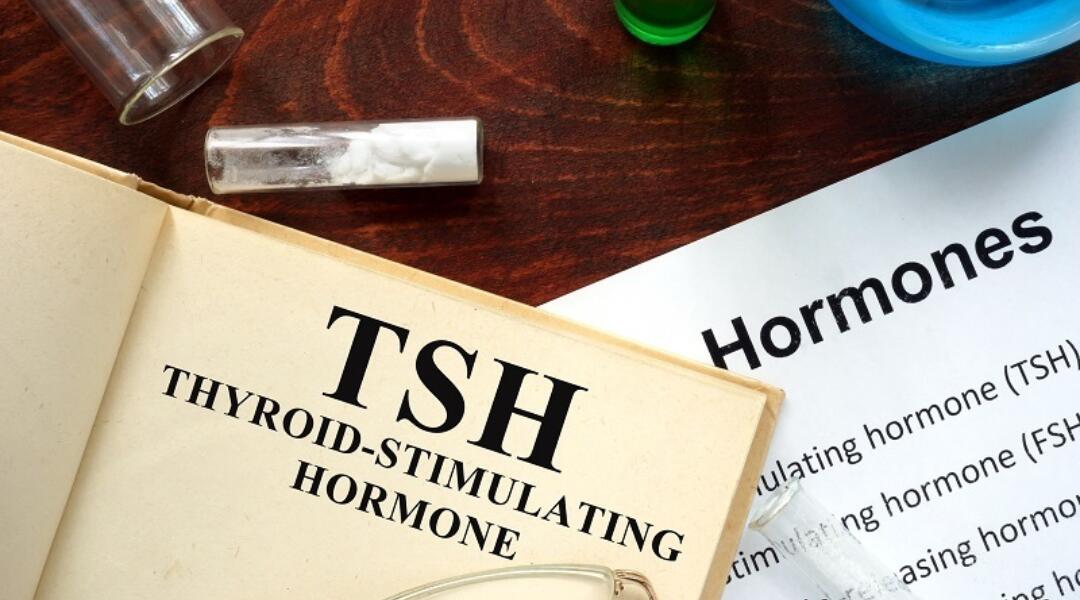 Supporting quality use of referrals