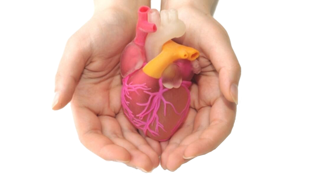 6f2e3d40dd13b0fd-7e55faad18be-251651_npc_chronic_heart_failure20170407-76353-1kuzcb4