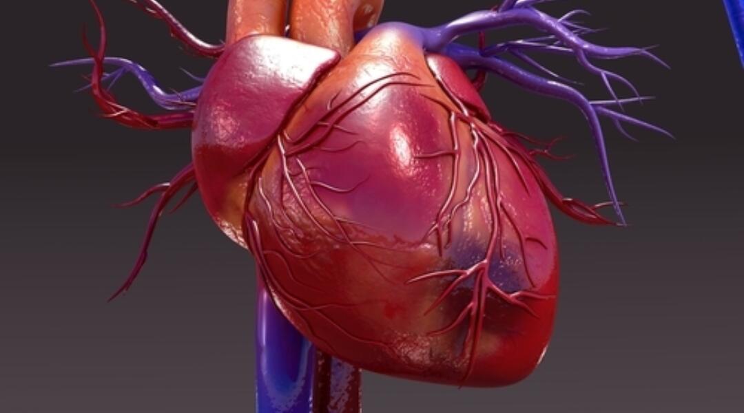 Lipid management and CVD risk