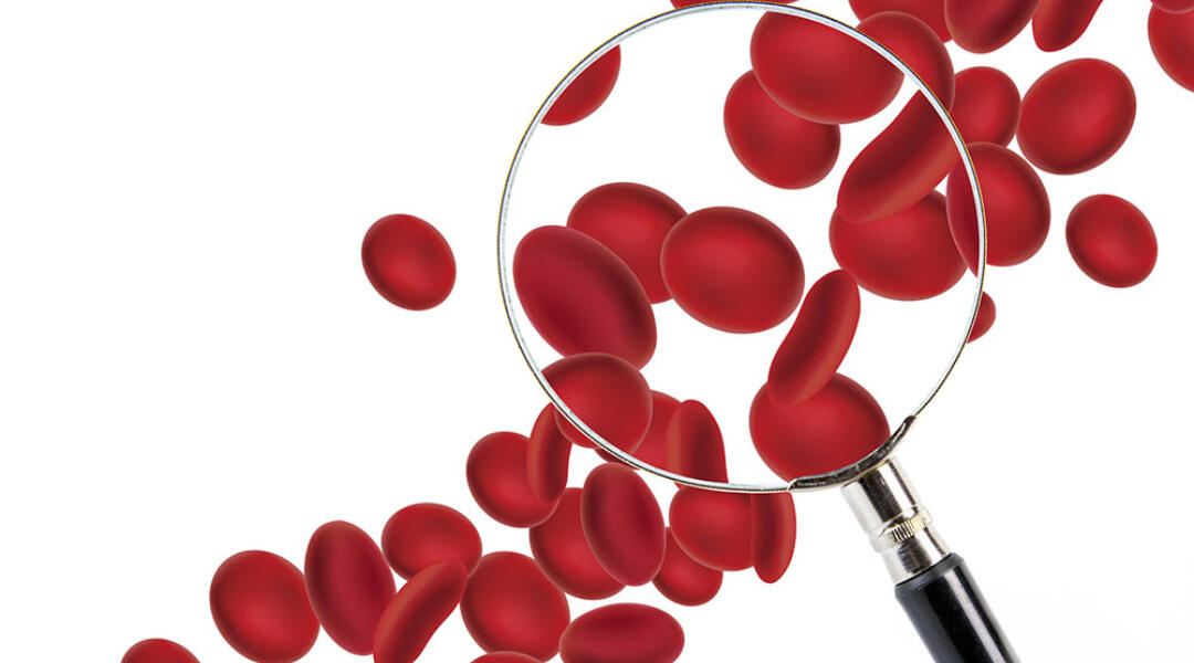 Blood-safe-hero