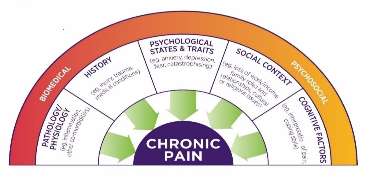 Diagram showing factors contributing to experience of pain