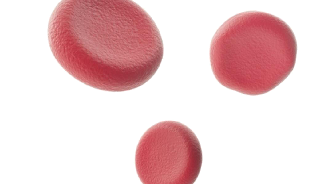 8db8acdbdd9881fd-904f50e6a5c5-251695_npc_anaemia20170407-76353-khr4en