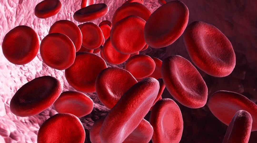 Predicting risk with oral anticoagulants