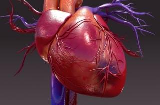 Lipid management and CVD risk