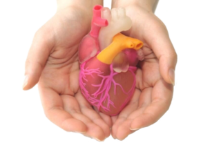 6f2e3d40dd13b0fd-7e55faad18be-251651_npc_chronic_heart_failure20170407-76353-1kuzcb4