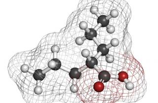 Safe use of sodium valproate