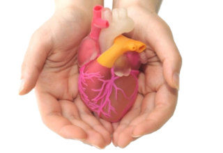 6f2e3d40dd13b0fd-7e55faad18be-251651_npc_chronic_heart_failure20170407-76353-1kuzcb4