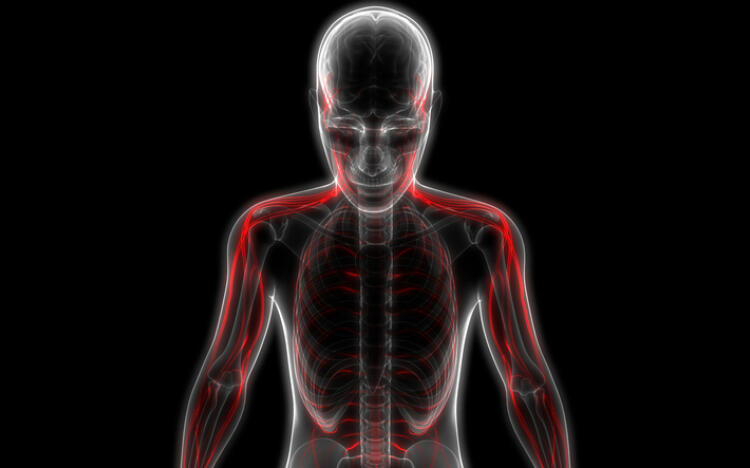 Nerve pain, explained