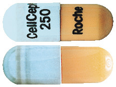 CellCept 250 mg Capsules