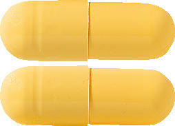 Blooms the Chemist Amoxicillin 500 mg Capsules