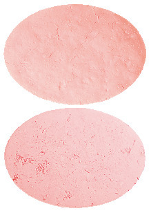 Wafesil 25 mg Wafers